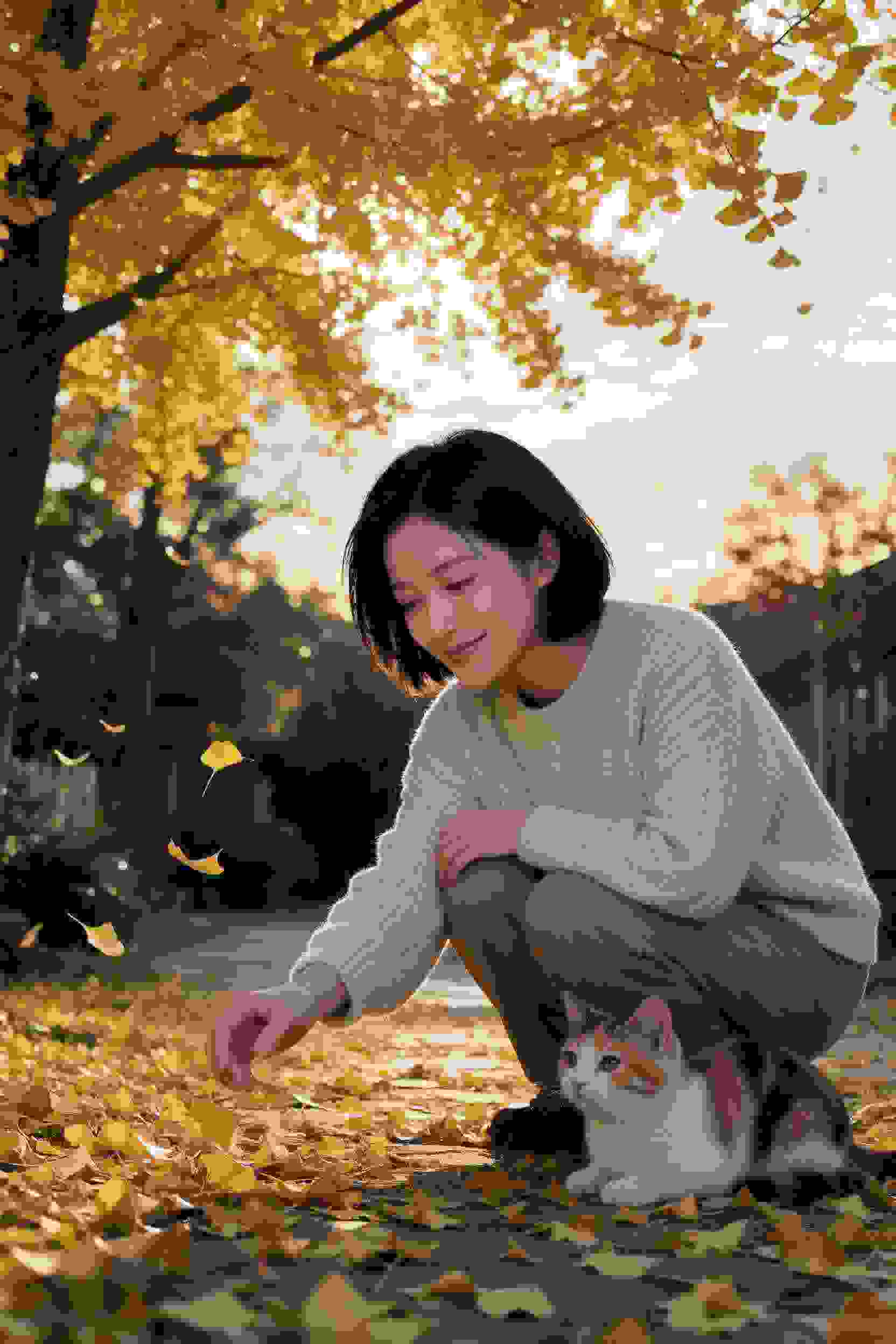 长月烬明